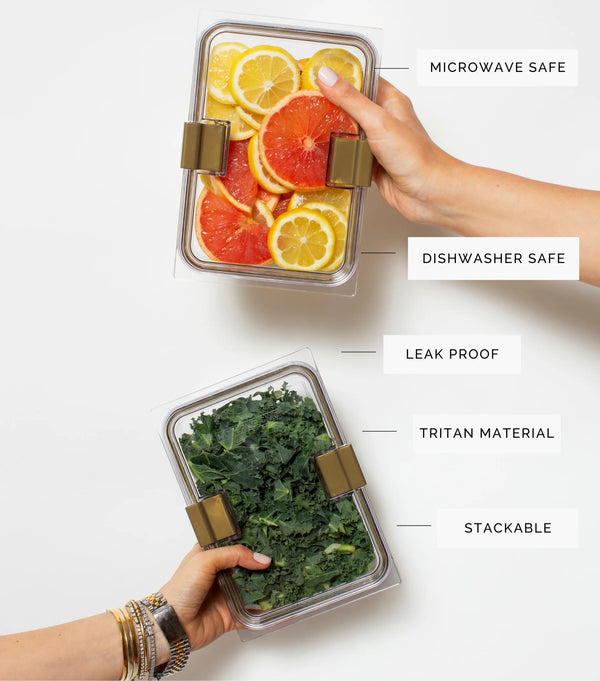 Modern Picnic - Chic Lunch Box